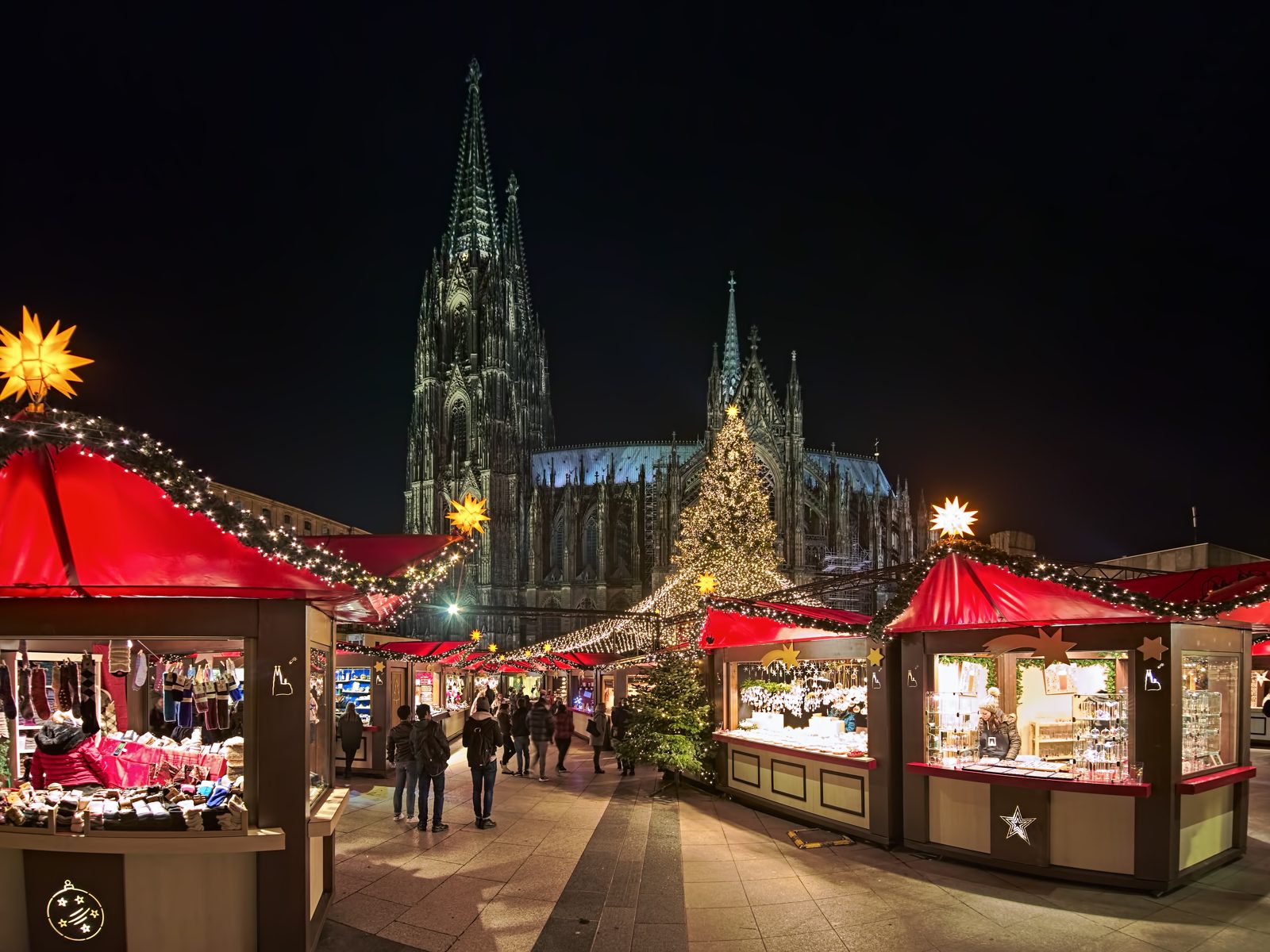 Cologne Cathedral Christmas market stalls and tree at night
