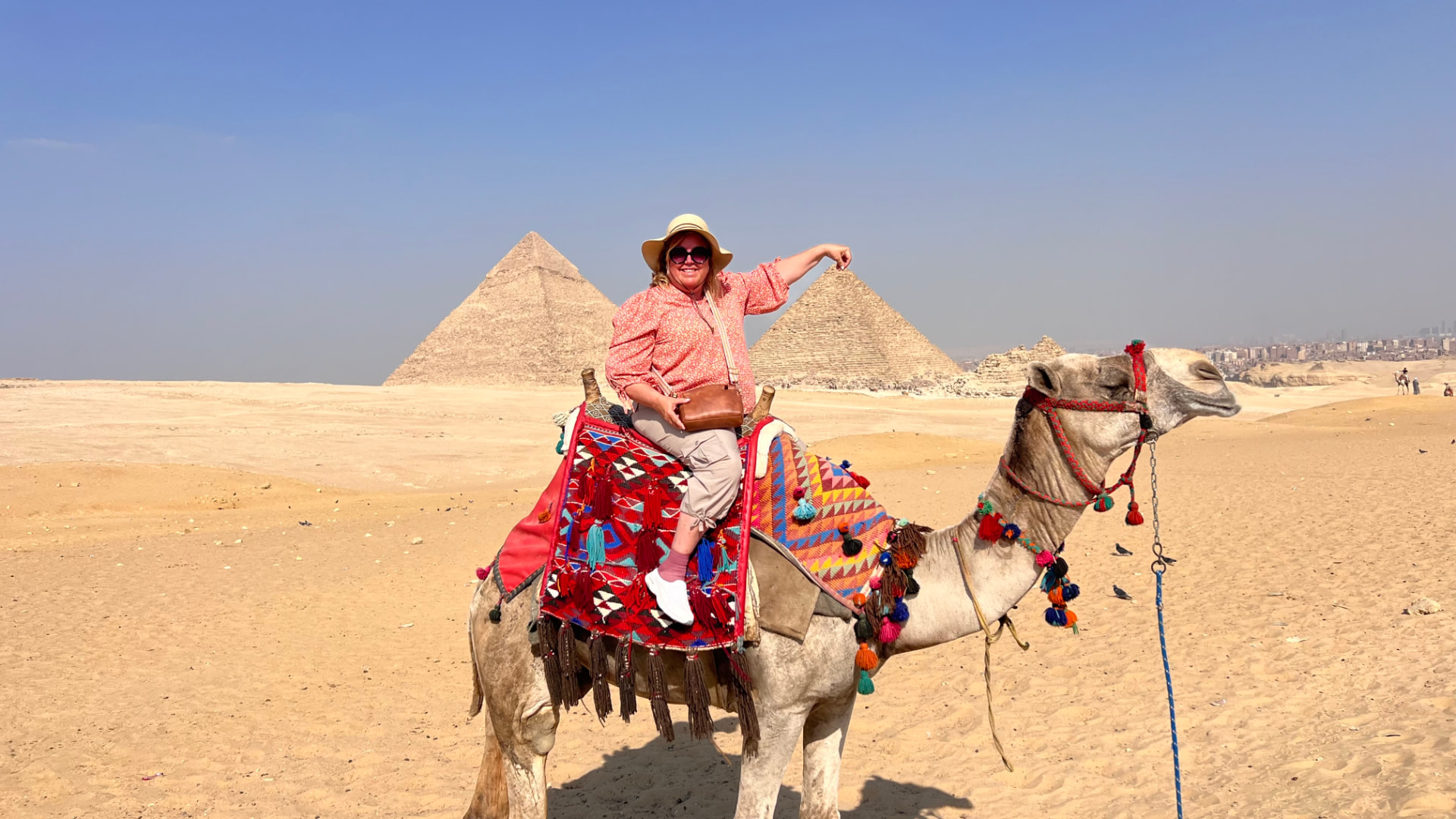 Camel resting on the desert sand in front of the Pyramids of Giza